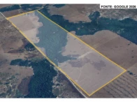 Sítio c/ 96,21 hectares - Pimenta Bueno/RO — foto 4