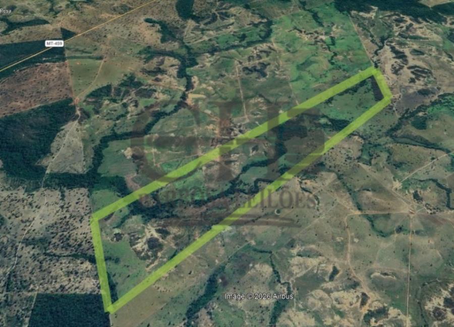 Faz Primavera Iv (259 Há) Guiratinga Fazenda Primavera Iv (259 Hectares) — foto 2