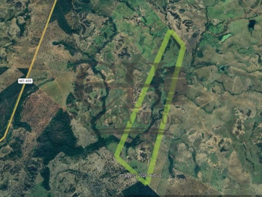 Faz Primavera Iv (259 Há) Guiratinga Fazenda Primavera Iv (259 Hectares) — foto 4