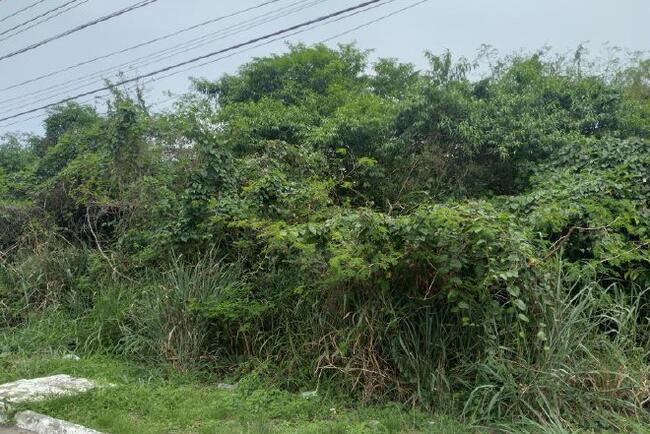 2ª Rodada / Imóvel - Praia Grande/SP — foto 3