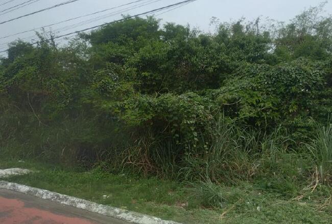 2ª Rodada / Imóvel - Praia Grande/SP — foto 4