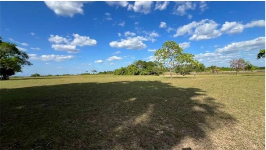 1 Lote de Terras Rural | Área de .795,3520ha | Amajarí/RR Leilão Unificado de Bens Móveis e Imóveis | TRF 1ª REGIÃO