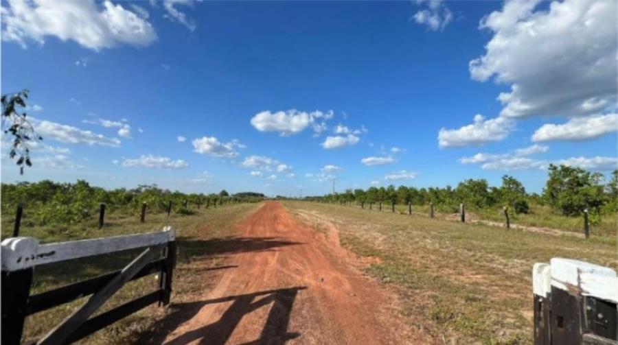 1 Lote de Terras Rural | Área de .795,3520ha | Amajarí/RR Leilão Unificado de Bens Móveis e Imóveis | TRF 1ª REGIÃO — foto 2