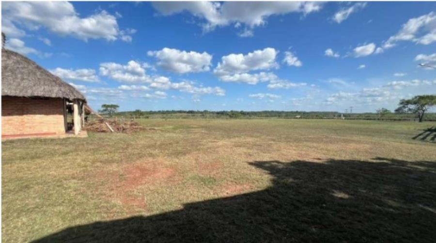1 Lote de Terras Rural | Área de .795,3520ha | Amajarí/RR Leilão Unificado de Bens Móveis e Imóveis | TRF 1ª REGIÃO — foto 4