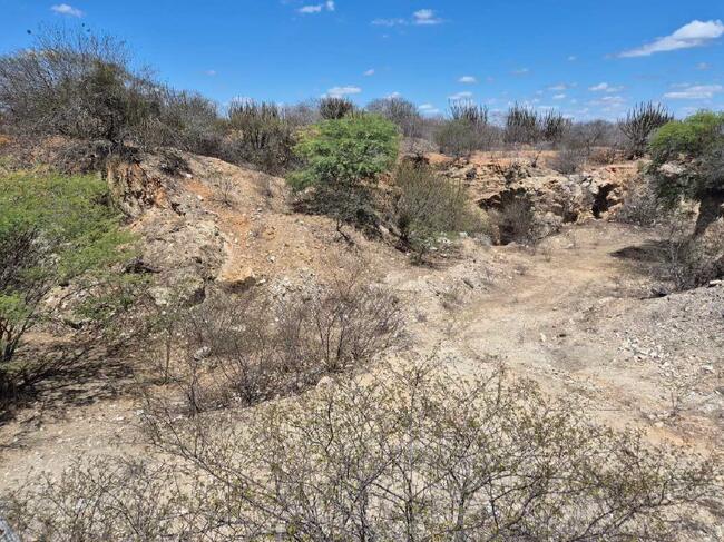 Juazeirinho/PB - Fazenda "pedras Pretas", 285,75 Hectares. — foto 3