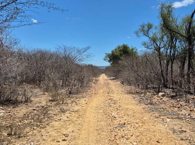 Juazeirinho/PB - Fazenda "pedras Pretas", 285,75 Hectares. — foto 4