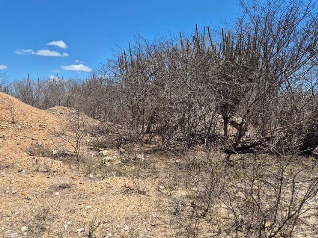 Juazeirinho/PB - Fazenda "pedras Pretas", 285,75 Hectares. — foto 5