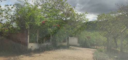 Imóveis Rurais — Lote Nº