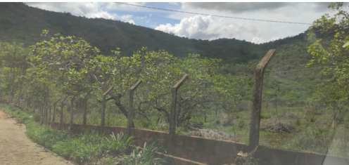 Imóveis Rurais — Lote Nº — foto 2