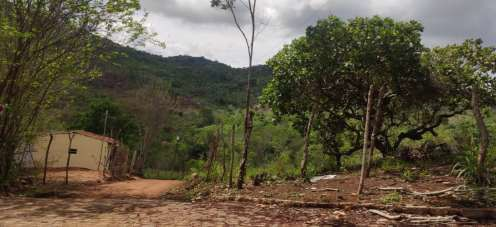 Imóveis Rurais — Lote Nº — foto 3