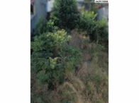 Terreno urbano 200m²-B. Aquidaban-Cachoeiro de Itapemirim/ES — foto 3