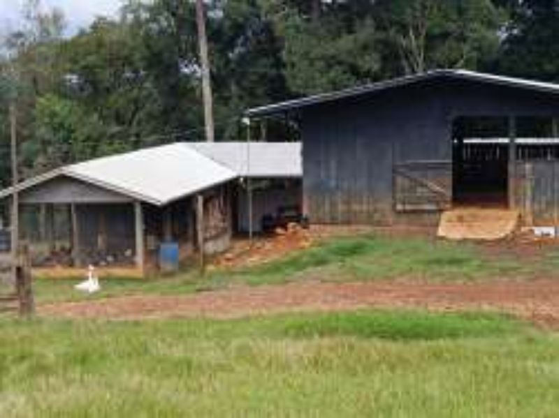 Área com 248.200,00 m² no Marmeleiro — foto 3