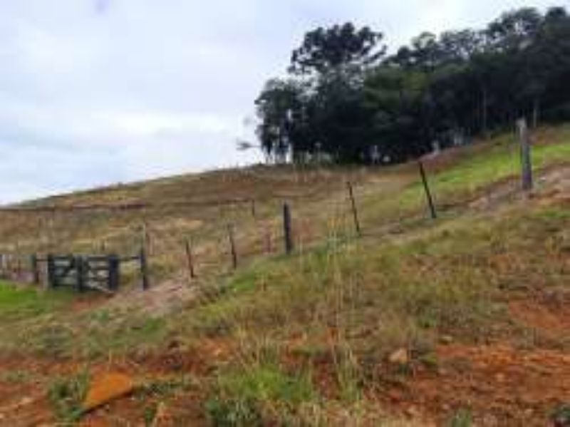 Área com 248.200,00 m² no Marmeleiro — foto 5