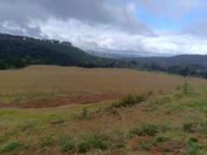 Área com 248.200,00 m² Linha Marmeleiro — foto 2