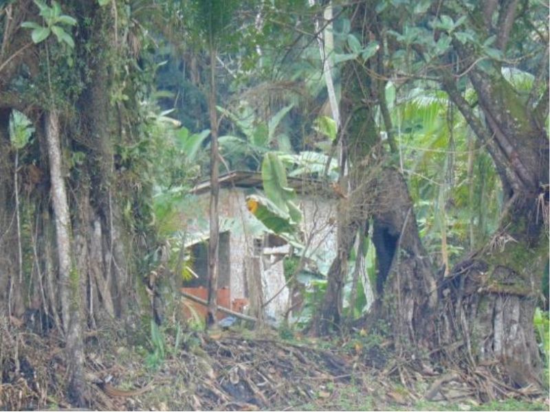 Área rural com 195.284,00 m² na BR-470 — foto 3