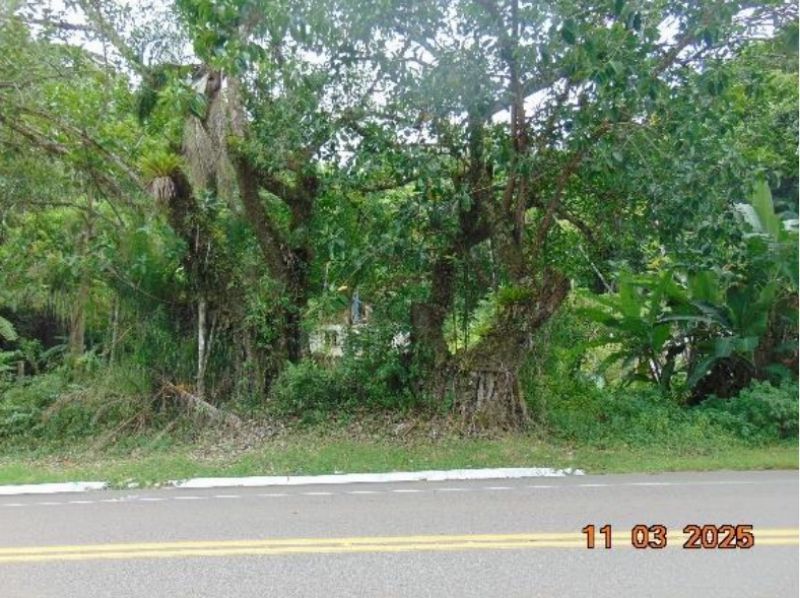 Área rural com 195.284,00 m² na BR-470 — foto 4