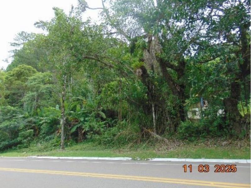 Área rural com 195.284,00 m² na BR-470 — foto 5