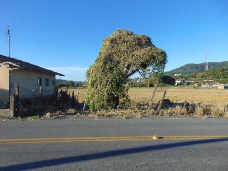 Dois terrenos total 330,00 m² — foto 5