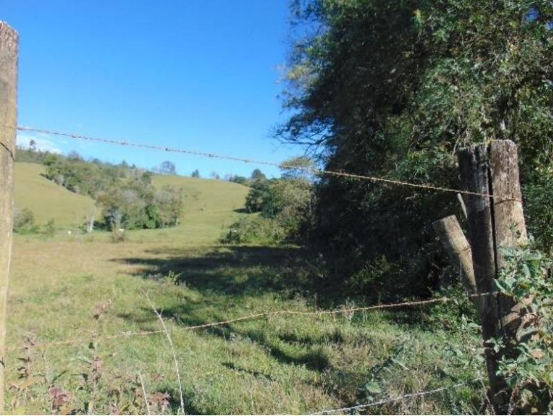 Área rural com 5.700,00 m² — foto 5