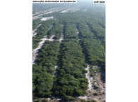 Unificado - Lotes 72 ao 94 — foto 5
