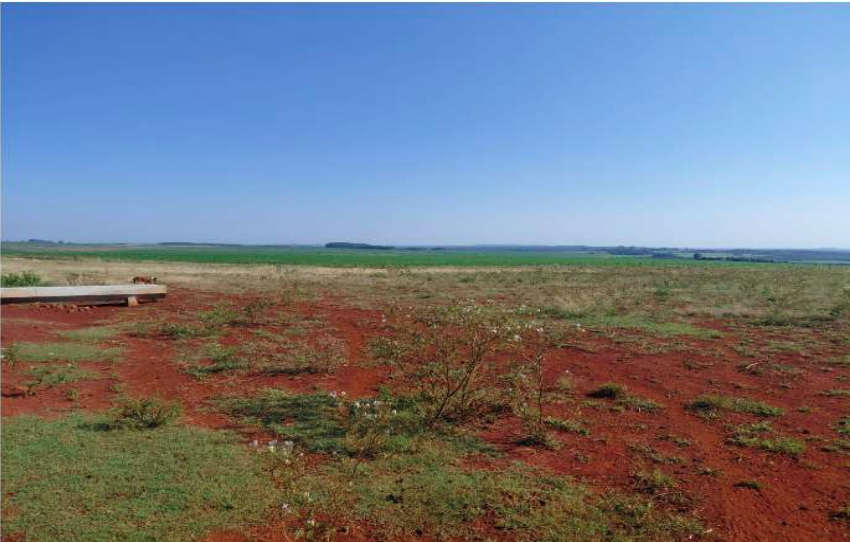Fração De 25 Hectares — foto 3