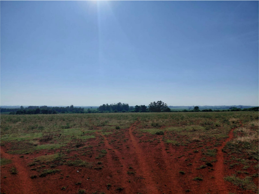 Fração De 25 Hectares — foto 4