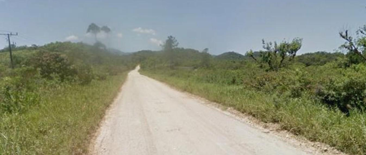 Imóvel rural com 249,80 hectares, em Guaraqueçaba/PR. — foto 2