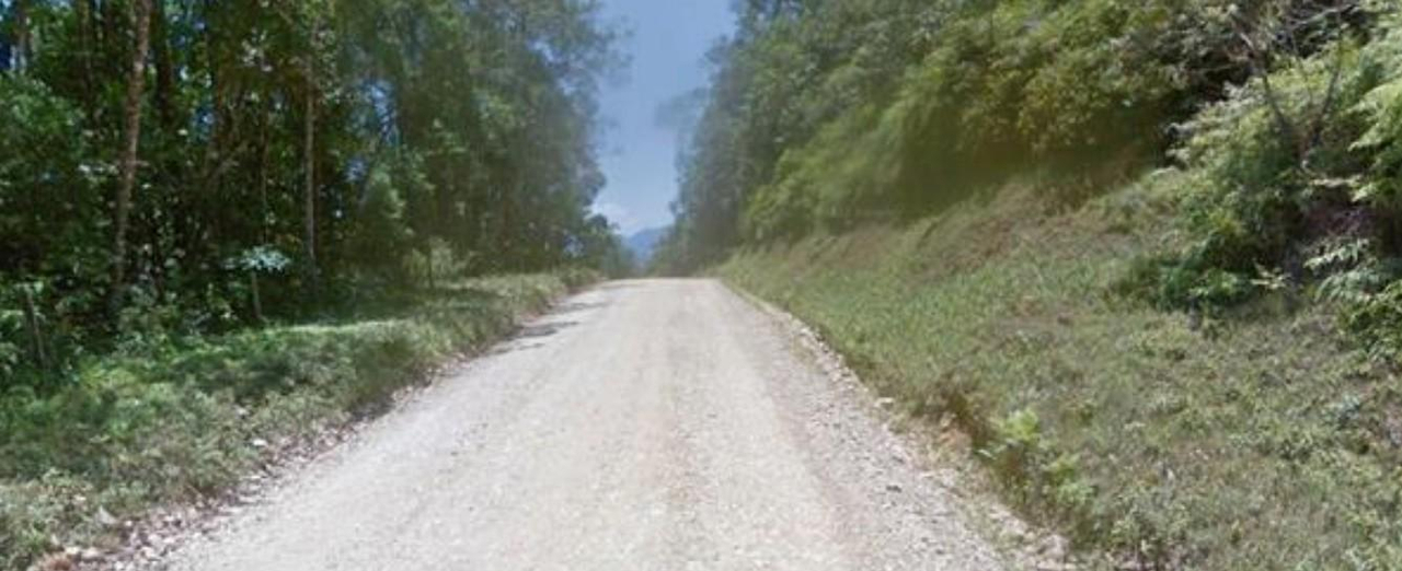 Imóvel rural com 249,80 hectares, em Guaraqueçaba/PR. — foto 3