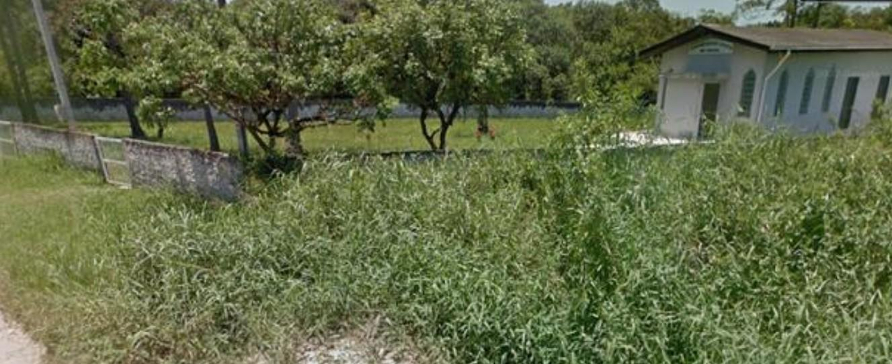 Imóvel rural com 249,80 hectares, em Guaraqueçaba/PR. — foto 4