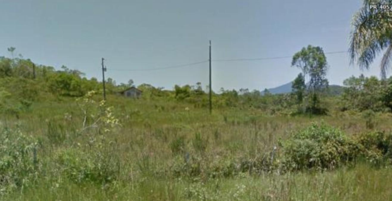 Imóvel rural com 249,80 hectares, em Guaraqueçaba/PR. — foto 5