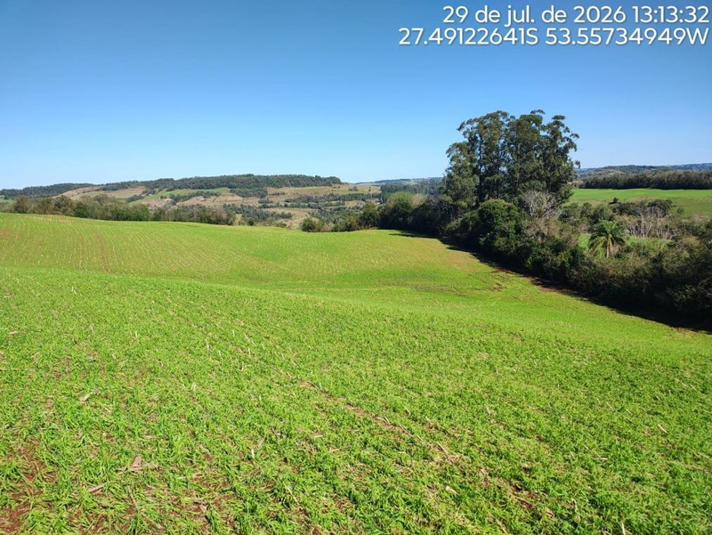 Imóvel Rural com Área de de 107.819,20 M2, em Erval Seco/RS