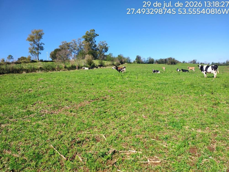 Imóvel Rural com Área de de 107.819,20 M2, em Erval Seco/RS — foto 4