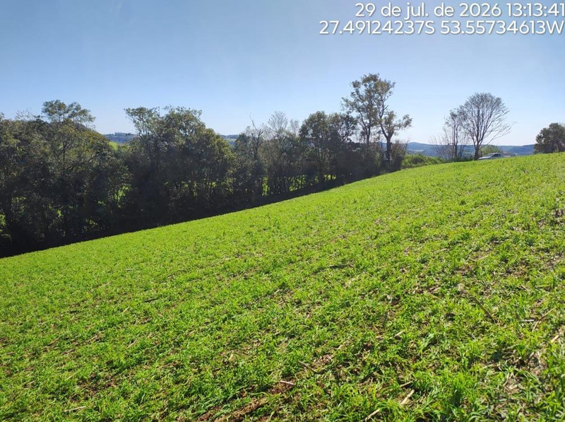 Imóvel Rural com Área de de 107.819,20 M2, em Erval Seco/RS — foto 5