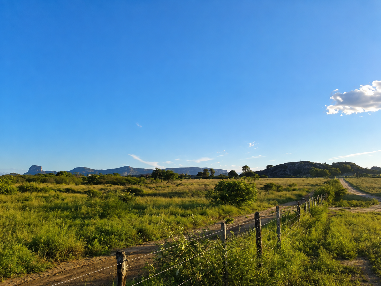 LOTE 3: Terreno com 4,9895ha - Área Rural ITATIM BA — foto 3
