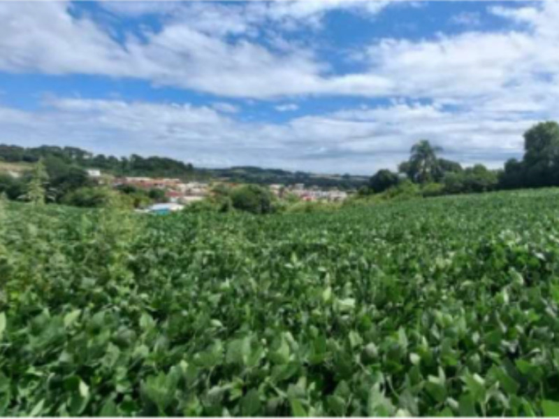 LOTE 001 Imóvel