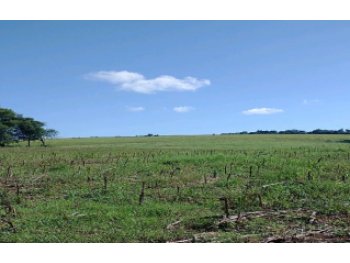 Leilão extrajudicial de Área Rural em São Miguel das Missões/RS - Zona Rural