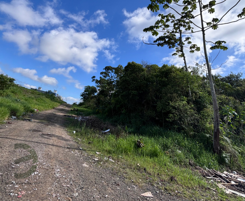 LOTE 001 Terreno