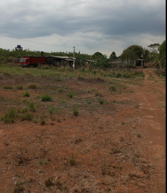 Imóvel Rural Em Ouro Preto D'oeste — foto 3