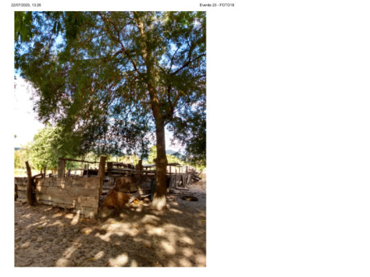 Lote 001 Fazenda Dois Irmãos Medindo 13,96 Alqueires em Colméia, Tocantins — foto 2
