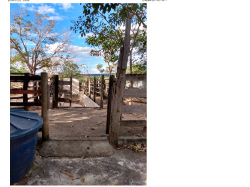Lote 001 Fazenda Dois Irmãos Medindo 13,96 Alqueires em Colméia, Tocantins — foto 3