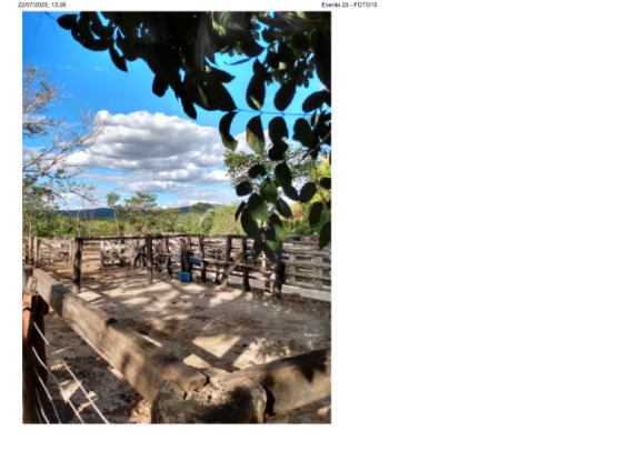 Lote 001 Fazenda Dois Irmãos Medindo 13,96 Alqueires em Colméia, Tocantins — foto 5