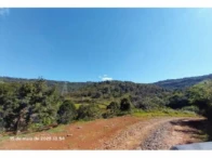 Fazenda c/ 484,72 hectares - Pinhão/PR — foto 3