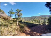 Fazenda c/ 484,72 hectares - Pinhão/PR — foto 4