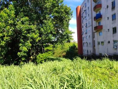 Terreno urbano de 600,00 m² (12 x 50 metros), sem benfeitorias, Vila Portes, Foz do Iguaçu/PR