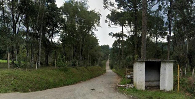 Fazenda em Pinaré, imóvel rural de 1.219,68 hectares (12.196.800,00 m²), Distrito de Santana, Cruz Machado/PR