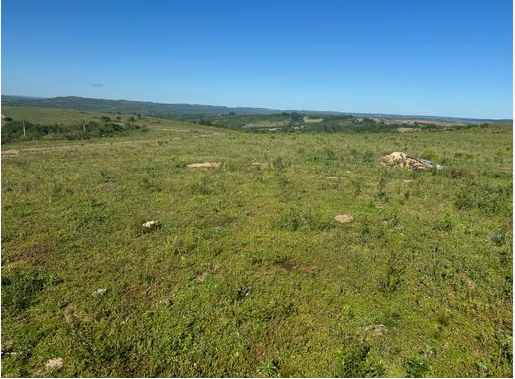 Área De 38,82,75 Ha | Lugar Denominado “estiva” | Da Fazenda Santa Bárbara | Augusto De Lima/MG