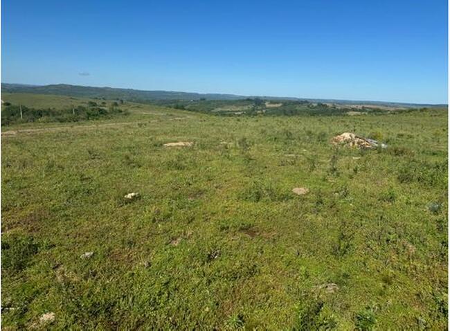 Área De 38,82,75 Ha | Lugar Denominado “estiva” | Da Fazenda Santa Bárbara | Augusto De Lima/MG — foto 2