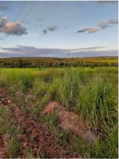 Área De 286,08 Ha | Lugar Denominado “estiva” | Fazenda Riacho Fundo | Augusto De Lima/MG