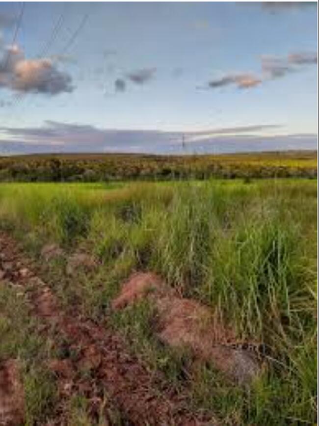 Área De 286,08 Ha | Lugar Denominado “estiva” | Fazenda Riacho Fundo | Augusto De Lima/MG — foto 2