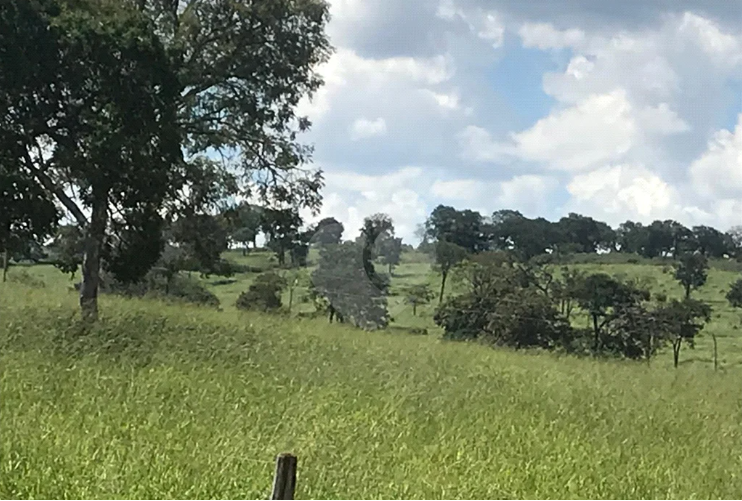 Área De 60,5799 Ha | Denominado Fazenda Santa Bárbara | Augusto De Lima/MG